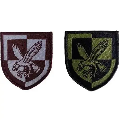 16 Air Assault Brigade Trf - Screaming Eagle 1