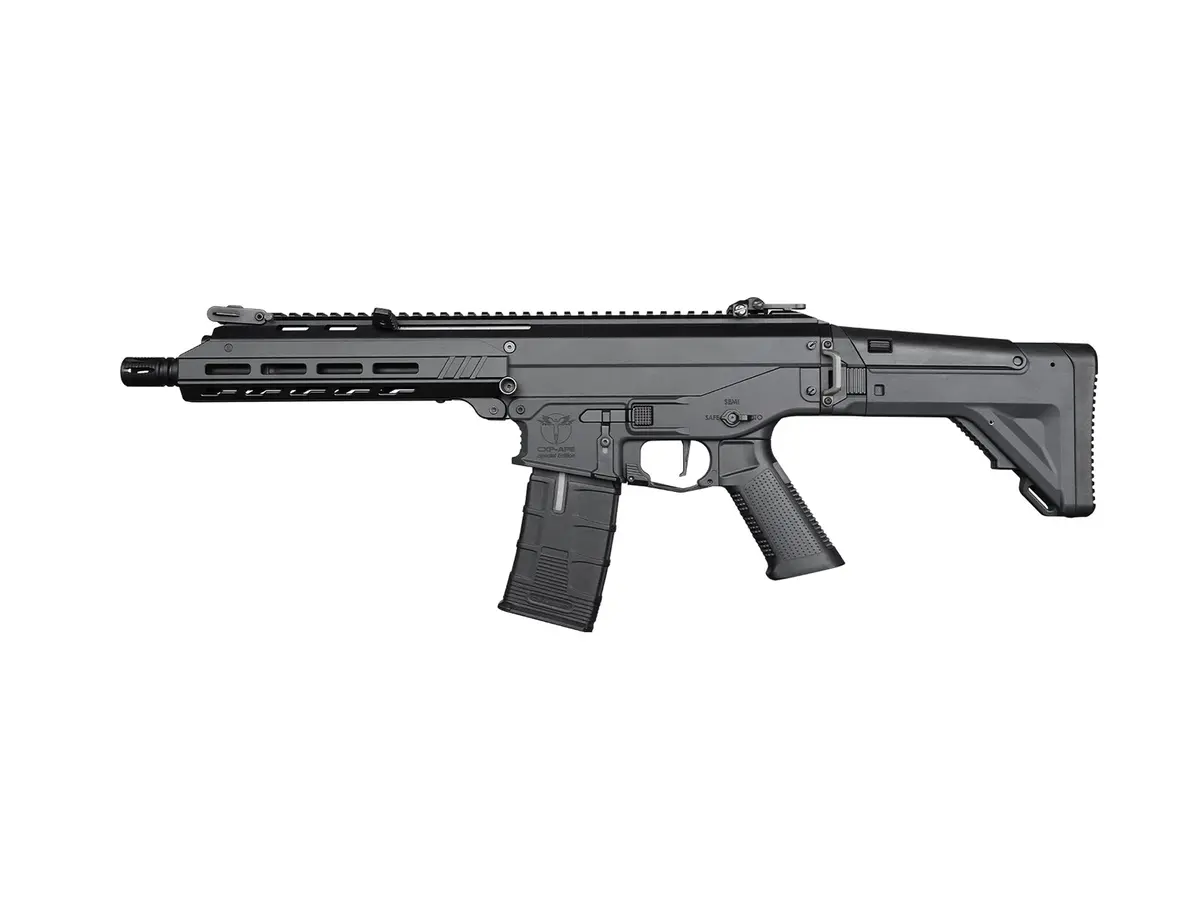 Asg Ics Cxp-Ape Se Sss Aeg (Black / Space Gray) 1
