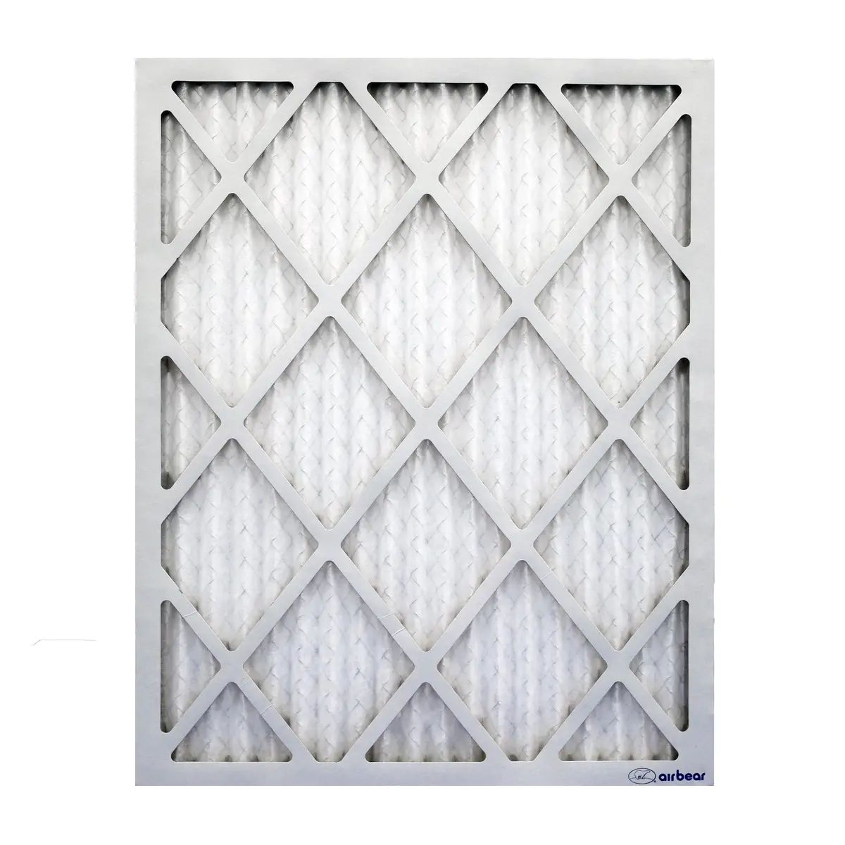 Trion Air Bear T13-20251-6P - 20" X 25" X 1" Pleated Air Filter (6-Pack), Merv 13 2