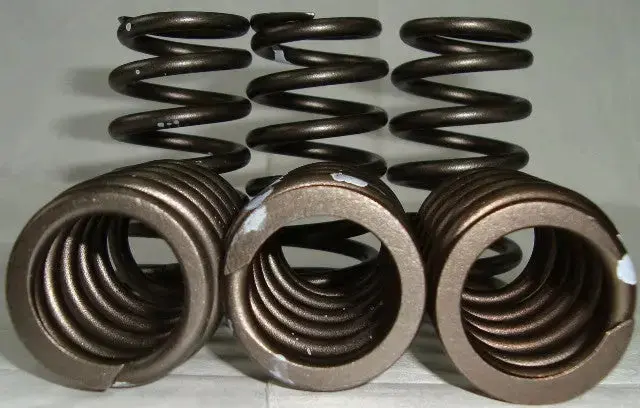 Ducky Fuel Injection 4K Governor Spring Kit & Valve Spring Bundle 1