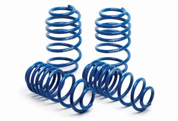 Ford Mustang Super Sport Springs 1