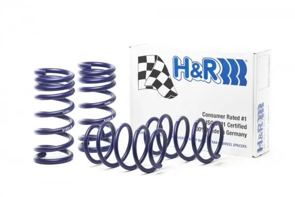 Ford Mustang Sport Spring Set 1