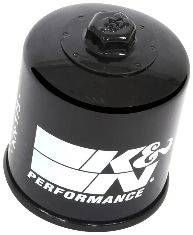 K&N Oil Filter (Kn-175) 1