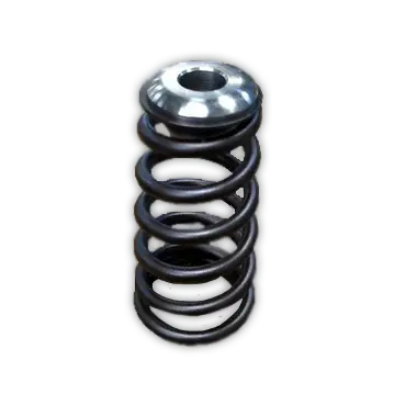 Manton 24V Valve Springs And Retainer 1