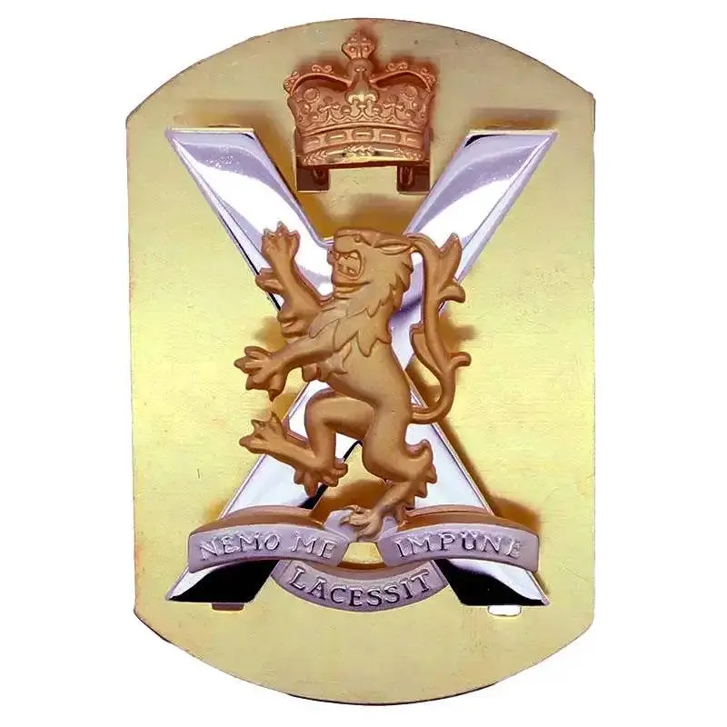 Royal Regiment Of Scotland Cap Badge Tam O Shanter 1