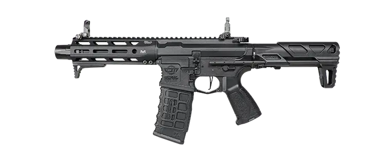 G&G Arp556 2.0 Aeg 1