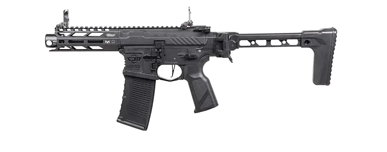 G&G Arp556 3.0 Aeg 1