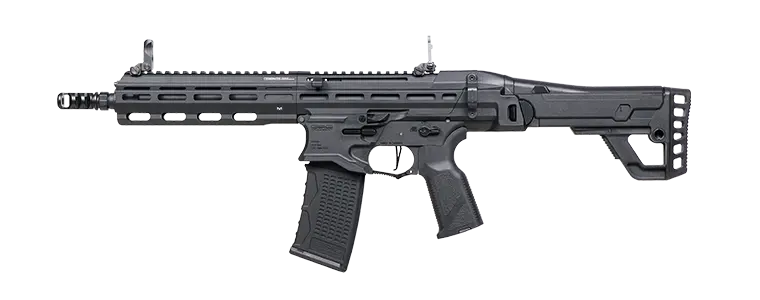 G&G Mcp 556 Aeg 1