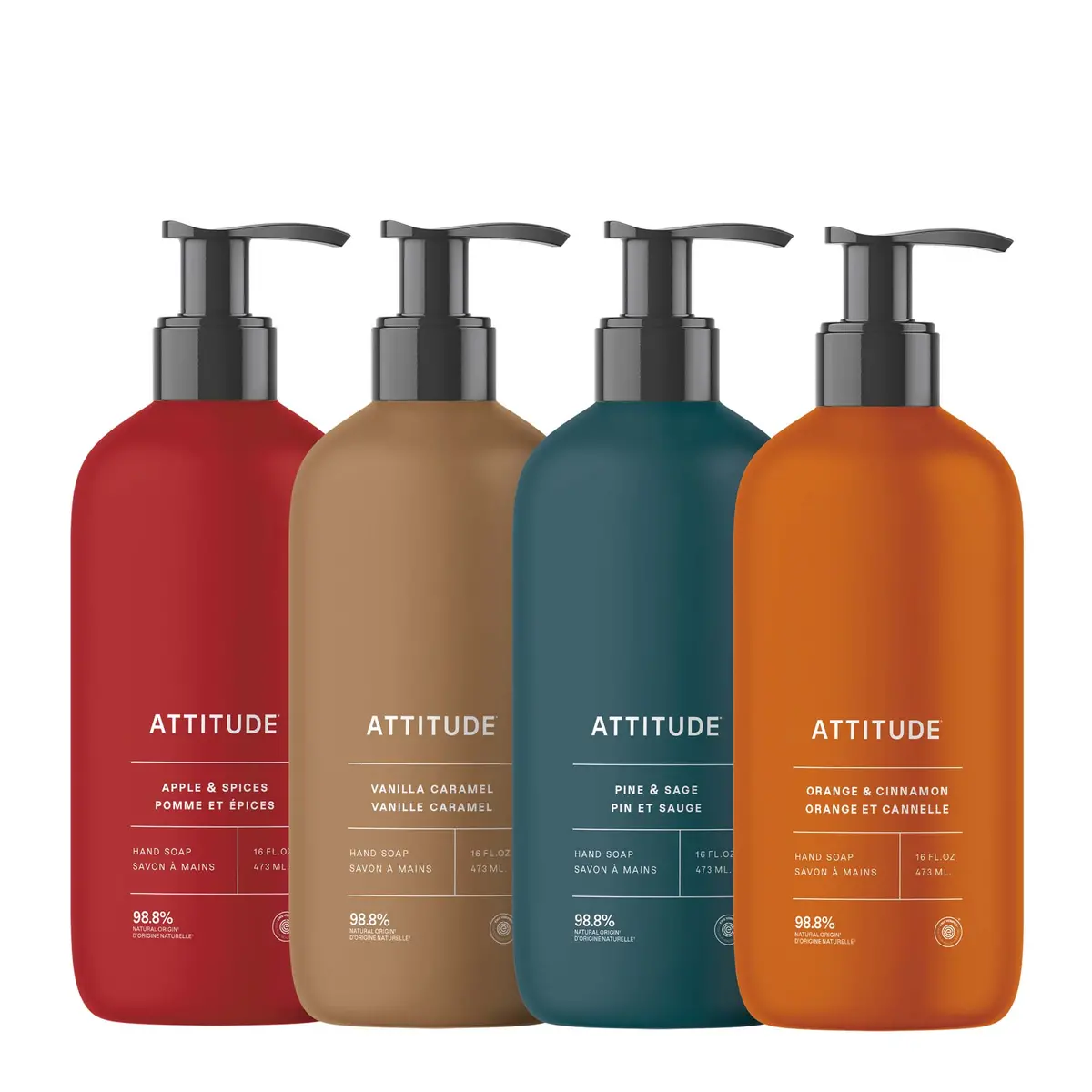Liquid Hand Soap Kit - 4 Seasons 1