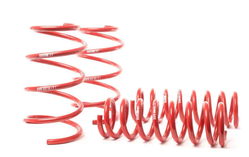 H&R Sport Lowering Springs For 1990–1997 Bmw 840Ci, 840I, 850Ci, 850I (E31) – Non-Self-Leveling Models 1