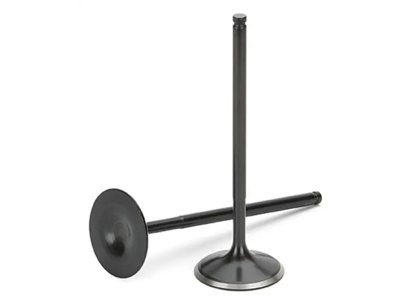 Supertech Black Nitrided Intake Valve Set For Bmw M20 2.5L Engines (6-Piece) 1
