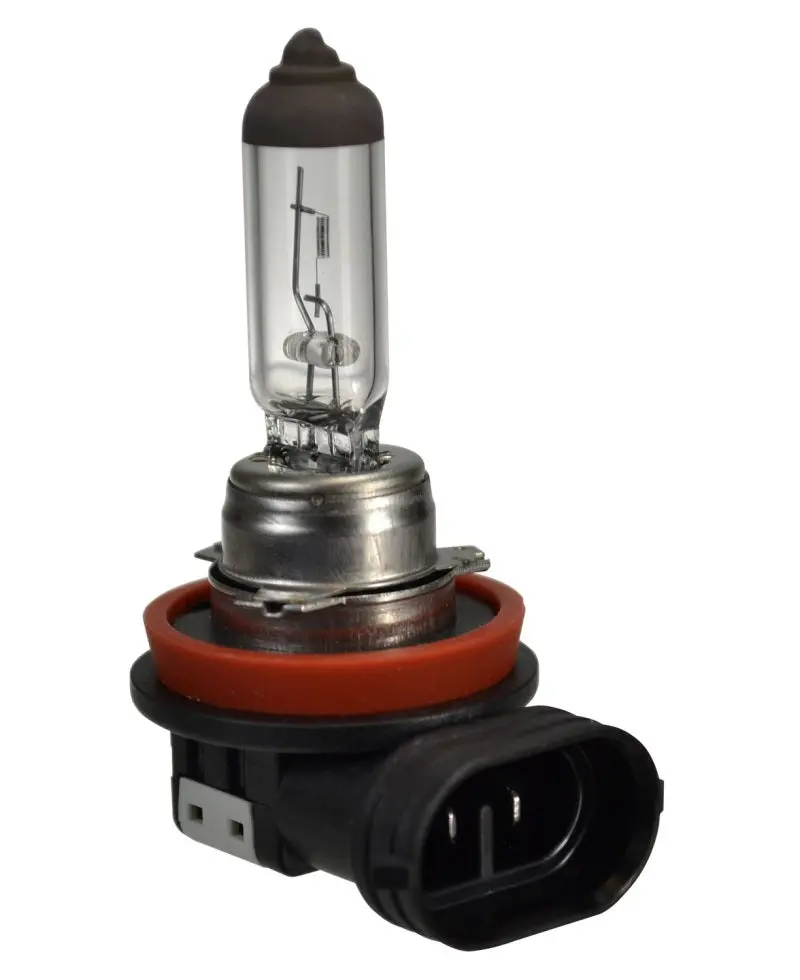 Hella H16 Halogen Bulb – 12V, 19W, Pgj19-3 Base 1