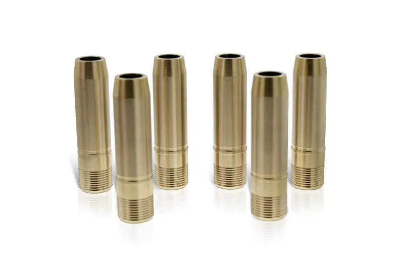 Ferrea Dodge Viper 8.4L V10 Gen 4/5 Exh & Int Valve Guide - Set Of 10 (Use W/Sl1158) 1